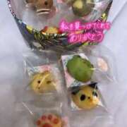 ヒメ日記 2025/08/14 12:15 投稿 もか Lesson.1福岡校