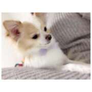 ヒメ日記 2025/02/23 22:52 投稿 ゆず 錦糸町ちゃんこ