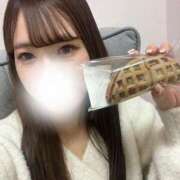 ヒメ日記 2025/02/09 13:23 投稿 ララ 高級エステ セラピスト