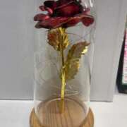 河北まり テスト 五十路マダム 浜松店(カサブランカグループ)