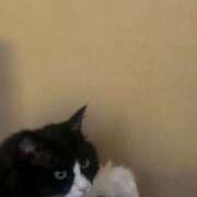 ヒメ日記 2024/12/29 21:25 投稿 あい バニラシュガー古河店