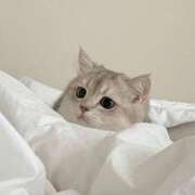 あい お礼🎀 バニラシュガー古河店