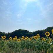 ヒメ日記 2025/02/04 18:02 投稿 あん ルネッサンス