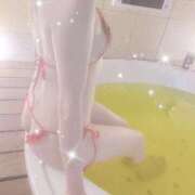 ヒメ日記 2025/10/22 03:27 投稿 みなにゃん★未開発の純朴ニャンコ★ 発情期限定!!即ズボ動物愛護団体