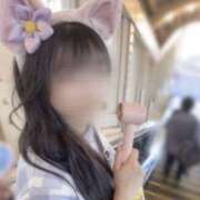 ヒメ日記 2025/12/22 20:57 投稿 みなにゃん★未開発の純朴ニャンコ★ 発情期限定!!即ズボ動物愛護団体