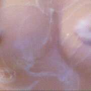 ヒメ日記 2026/03/03 05:35 投稿 みなにゃん★未開発の純朴ニャンコ★ 発情期限定!!即ズボ動物愛護団体