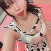 ヒメ日記 2025/11/16 22:10 投稿 かりん ヌーベル・マリエ