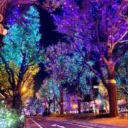 ヒメ日記 2024/12/30 13:12 投稿 みおん 佐世保人妻デリヘル「デリ夫人」