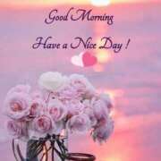 ヒメ日記 2025/01/23 08:51 投稿 みおん 佐世保人妻デリヘル「デリ夫人」