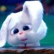 ヒメ日記 2025/03/27 09:19 投稿 かおる sweet kiss