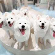 ヒメ日記 2025/05/01 15:55 投稿 ひなみ ちゃんこ湘南平塚店