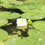 ヒメ日記 2025/02/24 11:36 投稿 三村　あき ギン妻パラダイス 谷九店