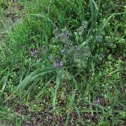 ヒメ日記 2025/03/25 11:23 投稿 三村　あき ギン妻パラダイス 谷九店