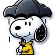 ヒメ日記 2025/05/02 14:48 投稿 つばき 川崎・東横人妻城