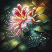 ヒメ日記 2025/06/03 05:09 投稿 つばき 川崎・東横人妻城