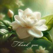 ヒメ日記 2025/06/07 22:03 投稿 つばき 川崎・東横人妻城