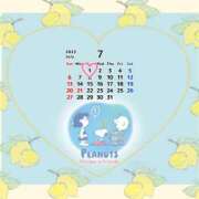 ヒメ日記 2025/06/30 00:18 投稿 つばき 川崎・東横人妻城