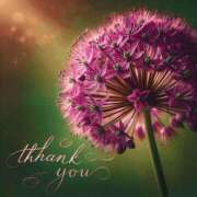 ヒメ日記 2025/07/23 22:57 投稿 つばき 川崎・東横人妻城