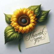 ヒメ日記 2025/08/06 05:36 投稿 つばき 川崎・東横人妻城