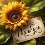 ヒメ日記 2025/08/17 03:18 投稿 つばき 川崎・東横人妻城