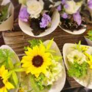 ヒメ日記 2025/08/25 21:50 投稿 つばき 川崎・東横人妻城