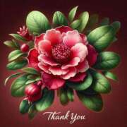 ヒメ日記 2025/08/26 23:41 投稿 つばき 川崎・東横人妻城