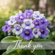 ヒメ日記 2025/10/29 21:24 投稿 つばき 川崎・東横人妻城