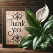 ヒメ日記 2025/11/07 22:36 投稿 つばき 川崎・東横人妻城