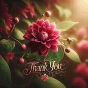 ヒメ日記 2025/11/26 23:34 投稿 つばき 川崎・東横人妻城