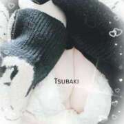 ヒメ日記 2025/12/27 18:36 投稿 つばき 川崎・東横人妻城