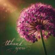 ヒメ日記 2026/02/11 22:22 投稿 つばき 川崎・東横人妻城