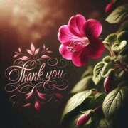 ヒメ日記 2026/02/24 21:36 投稿 つばき 川崎・東横人妻城