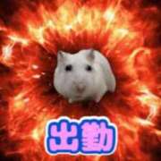 ヒメ日記 2026/04/08 08:18 投稿 みい ZERO