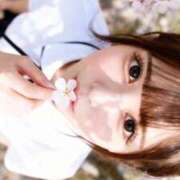 ヒメ日記 2026/04/09 08:21 投稿 みい ZERO