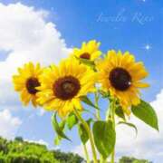 ヒメ日記 2025/07/28 22:12 投稿 零音【れの】 ジュエリー(谷九)