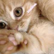 ヒメ日記 2025/02/26 23:06 投稿 芽衣菜/めいな ANEJE～アネージュ池袋～(ユメオト)