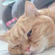 ヒメ日記 2025/04/21 22:48 投稿 芽衣菜/めいな ANEJE～アネージュ池袋～(ユメオト)