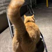 ヒメ日記 2025/05/18 11:40 投稿 芽衣菜/めいな ANEJE～アネージュ池袋～(ユメオト)