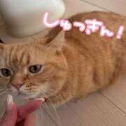 ヒメ日記 2025/08/10 10:35 投稿 芽衣菜/めいな ANEJE～アネージュ池袋～(ユメオト)