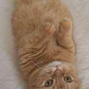 ヒメ日記 2025/08/28 13:28 投稿 芽衣菜/めいな ANEJE～アネージュ池袋～(ユメオト)