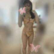 ヒメ日記 2025/02/02 19:01 投稿 らむ コートダジュール