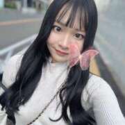 ヒメ日記 2025/03/31 07:45 投稿 らむ コートダジュール