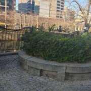 ヒメ日記 2024/12/17 08:52 投稿 しょうこ エマニエル