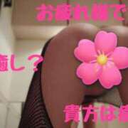 ヒメ日記 2025/01/31 20:02 投稿 しょうこ エマニエル