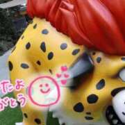 ヒメ日記 2025/03/11 16:52 投稿 しょうこ エマニエル