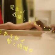 ヒメ日記 2025/03/30 08:42 投稿 しょうこ エマニエル