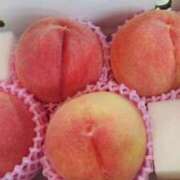 ヒメ日記 2025/08/15 19:52 投稿 しょうこ エマニエル