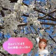 ヒメ日記 2026/03/27 09:32 投稿 しょうこ エマニエル