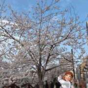 ヒメ日記 2026/03/29 14:02 投稿 しょうこ エマニエル