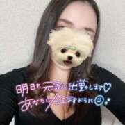 ヒメ日記 2024/12/29 04:54 投稿 しいな奥様 なすがママされるがママ西川口